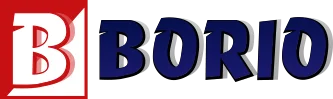 Borio Macchine Agricole